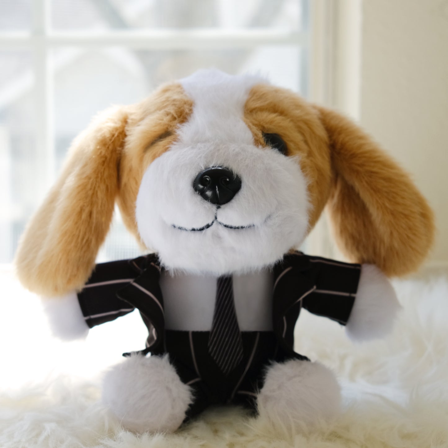 Luckyadoodle in black suit. This is front view. Extremely cute. 