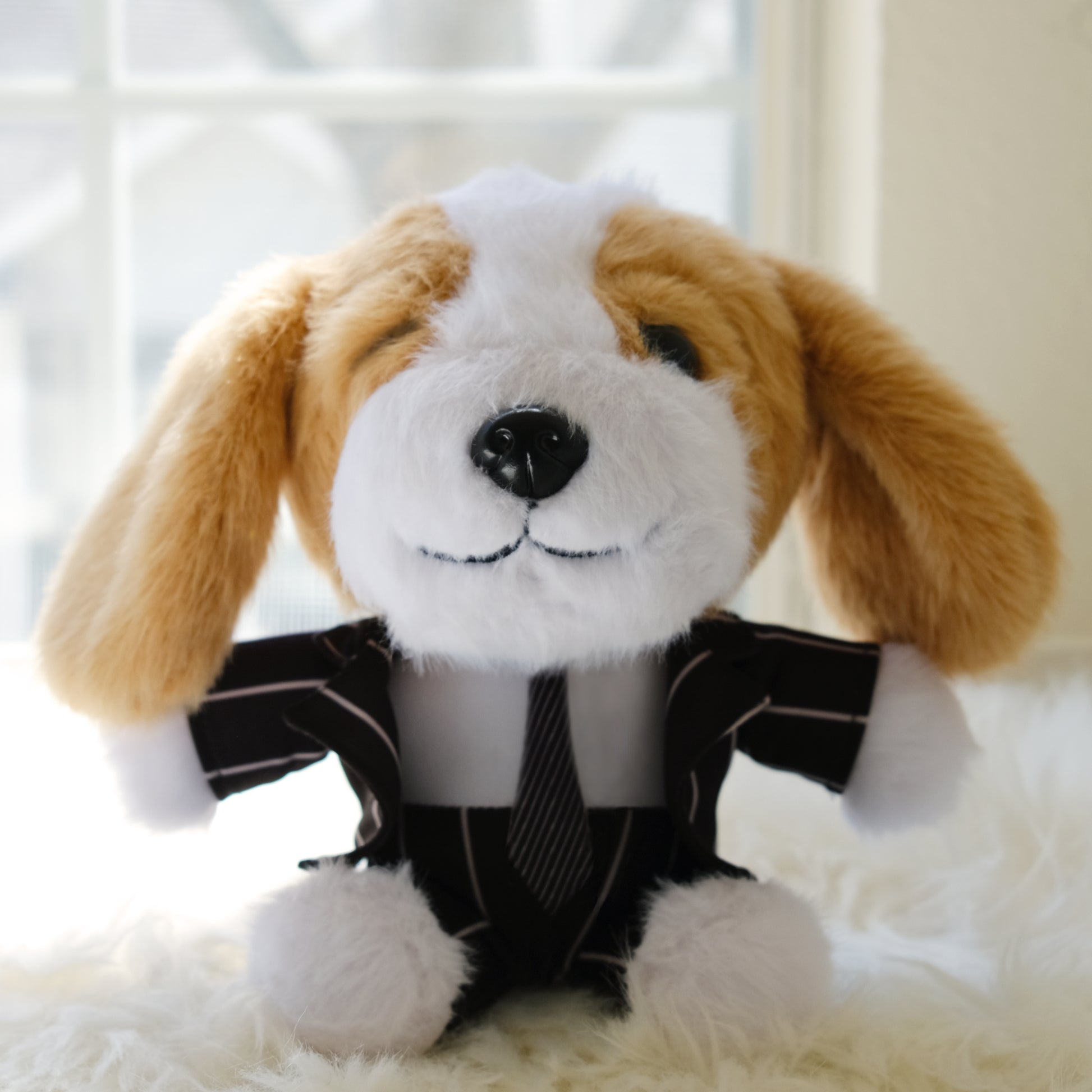 Luckyadoodle in black suit. This is front view. Extremely cute. 